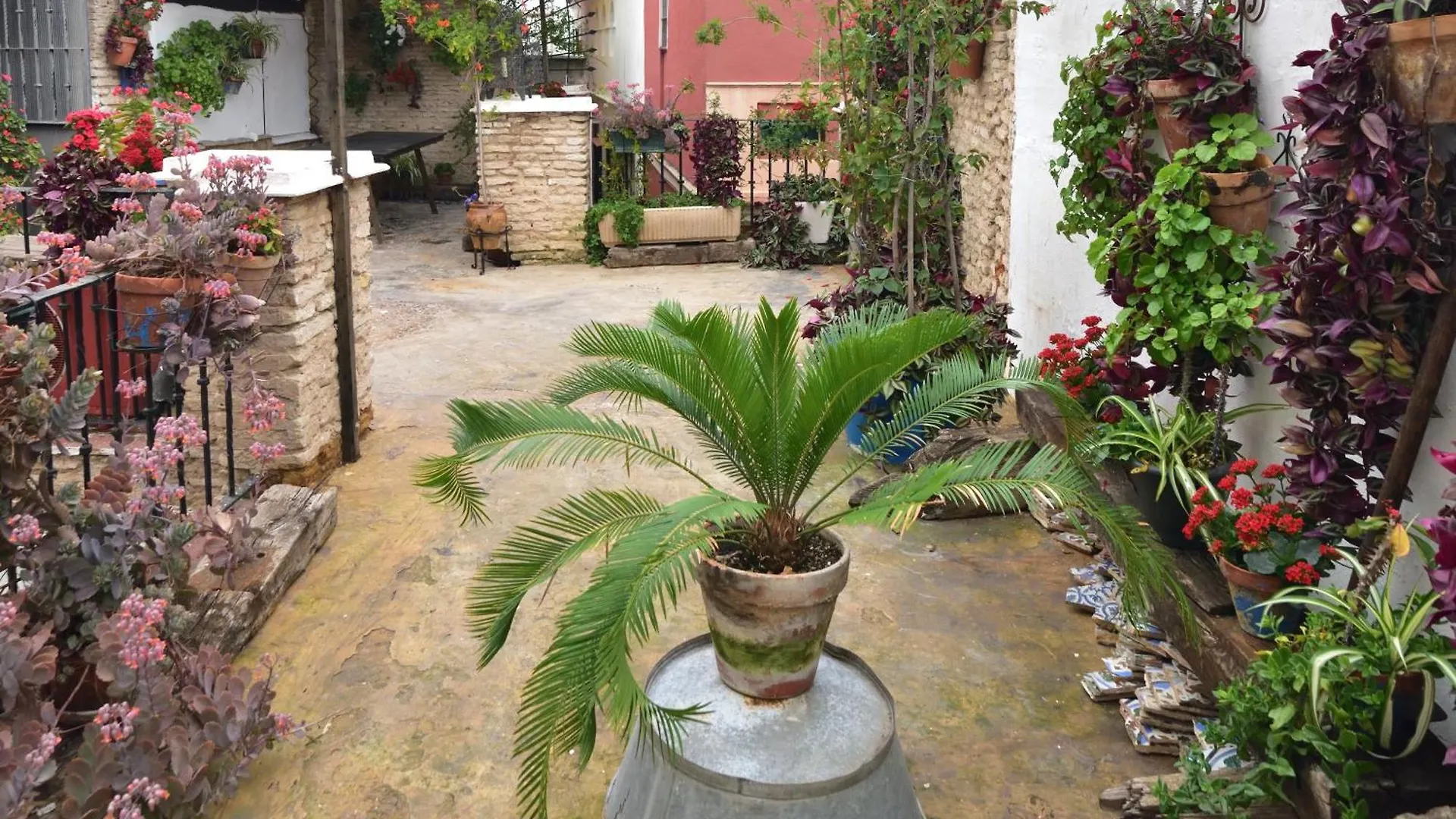 Homestay Suite Dona Ines Barrio Santacruz Seville Spain