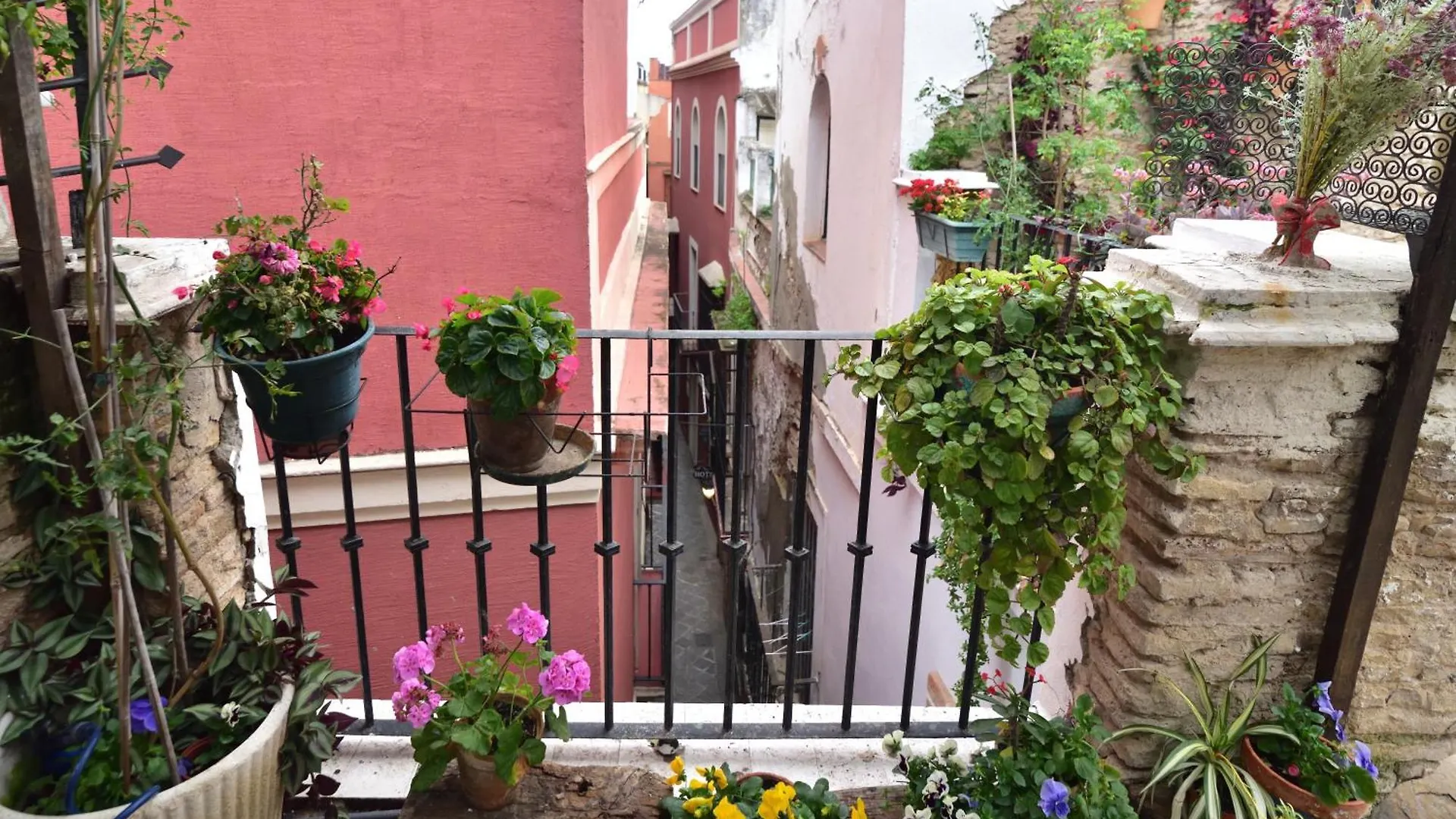 Homestay Suite Dona Ines Barrio Santacruz Seville